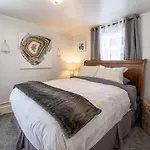 Downtown 1 Bedroom Charmer - Walk, Bike, Enjoy!!
