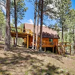 Modern Black Hills Cabin With Loft And Wraparound Deck
