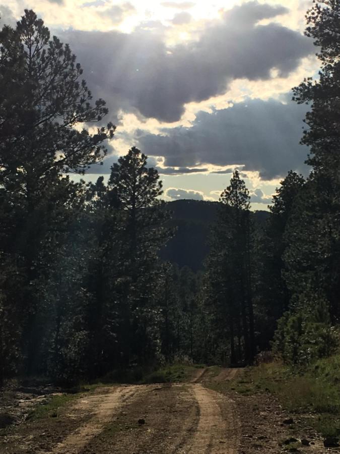 Priceless Black Hills View Holiday home