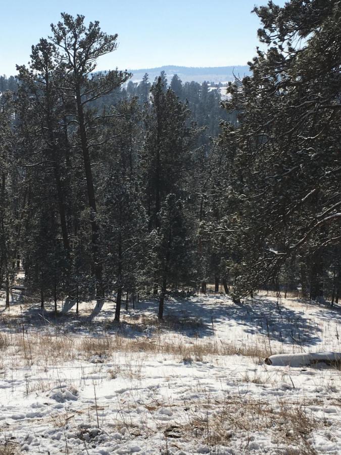 Priceless Black Hills View