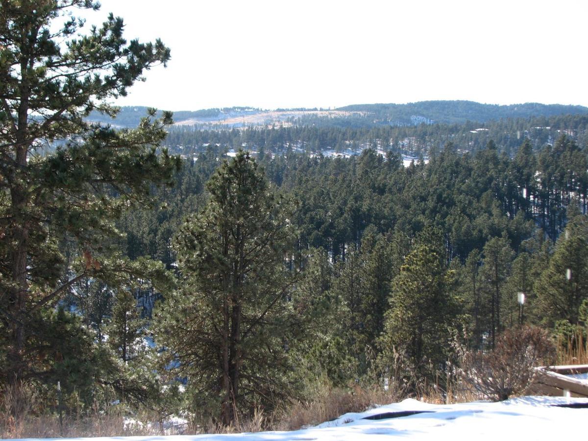Priceless Black Hills View * Rapid City