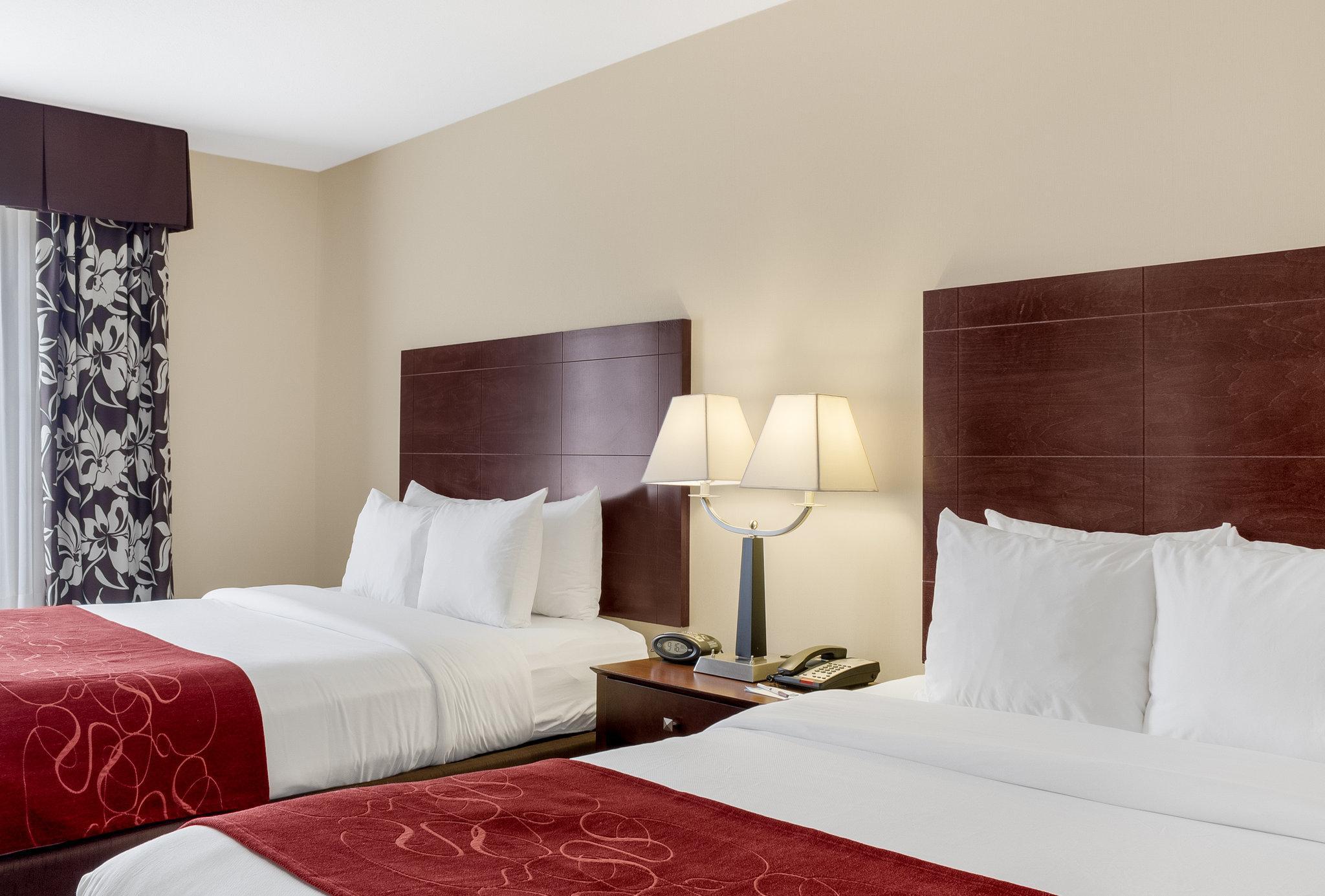 Comfort Conference Center Rapid Hotel 3*
