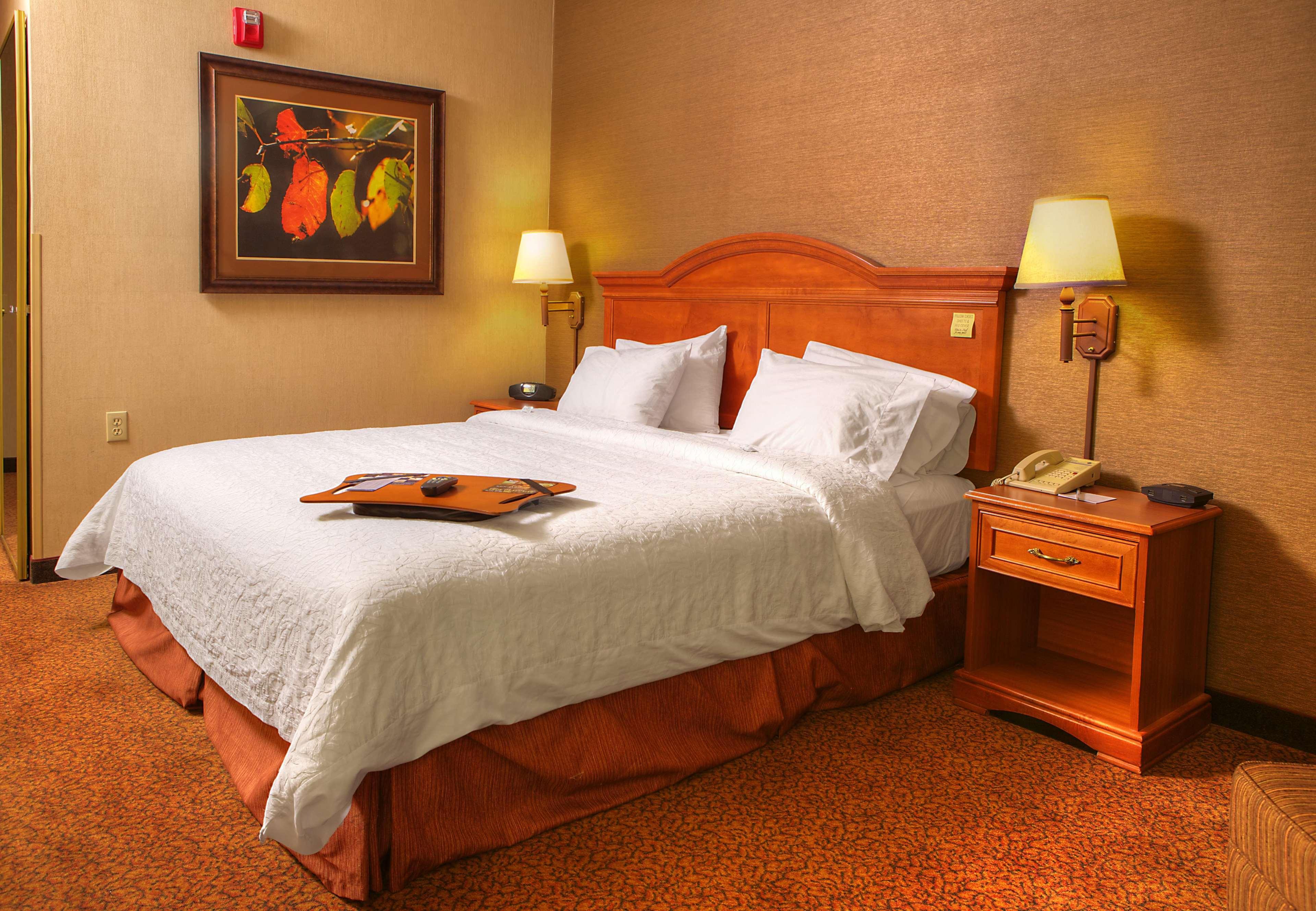 Comfort & Rapid Near Mt Rushmore 3*