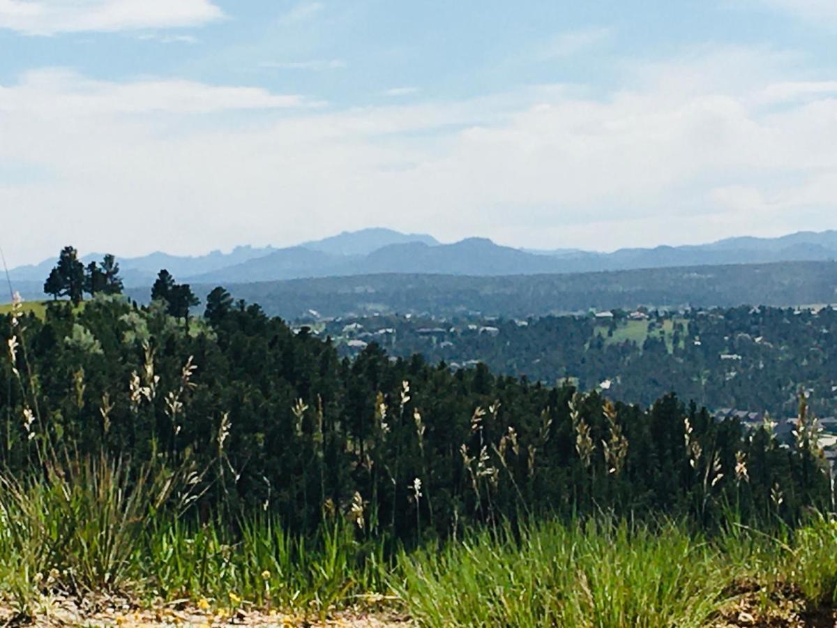 Priceless Black Hills View *