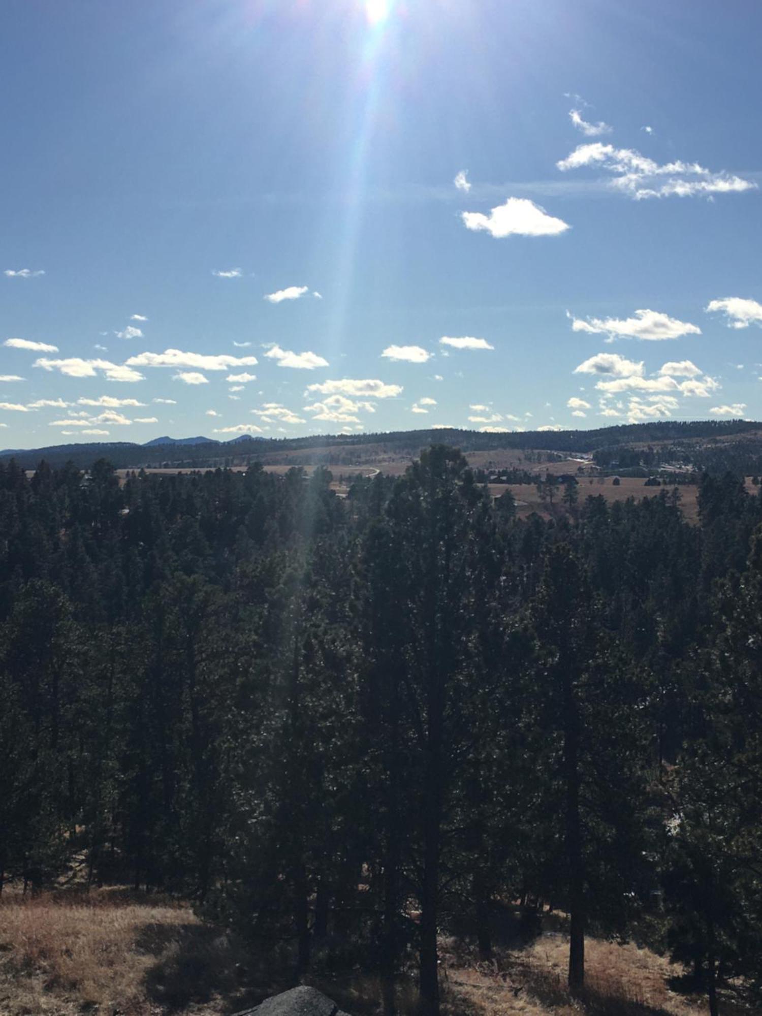 Holiday home Priceless Black Hills View *