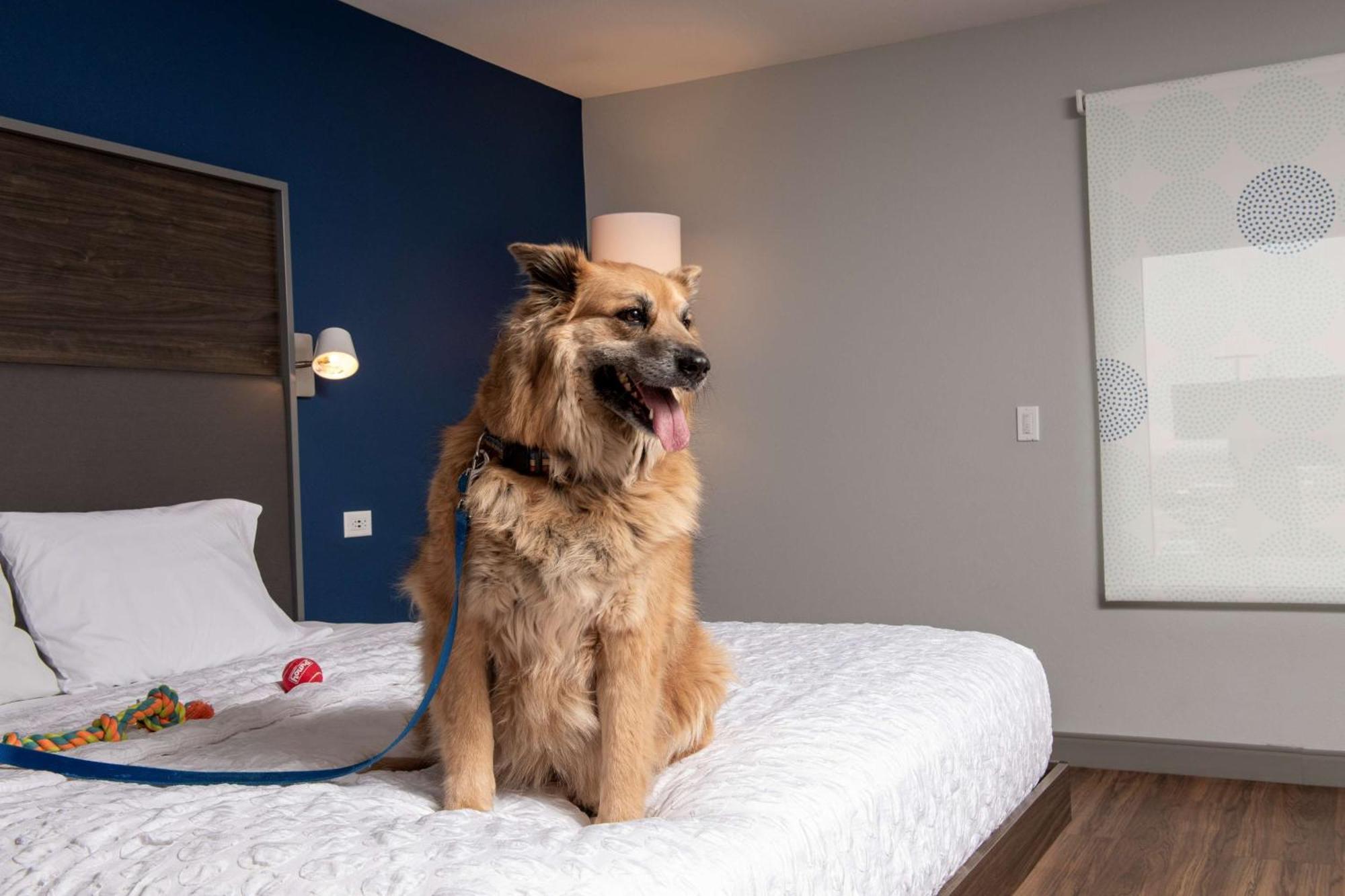 Hotel Tru By Hilton Rapid Rushmore, Sd Rapid City