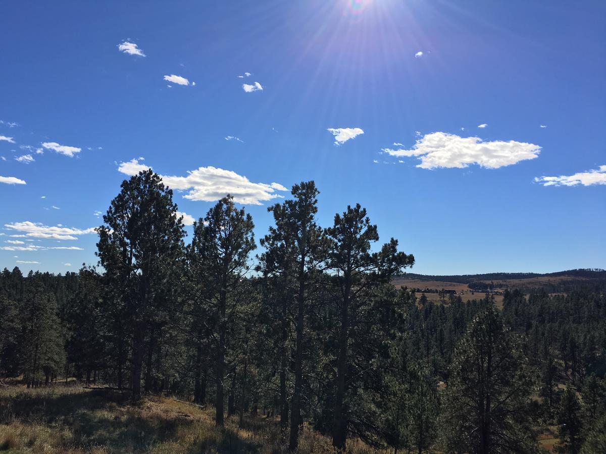 Priceless Black Hills View *