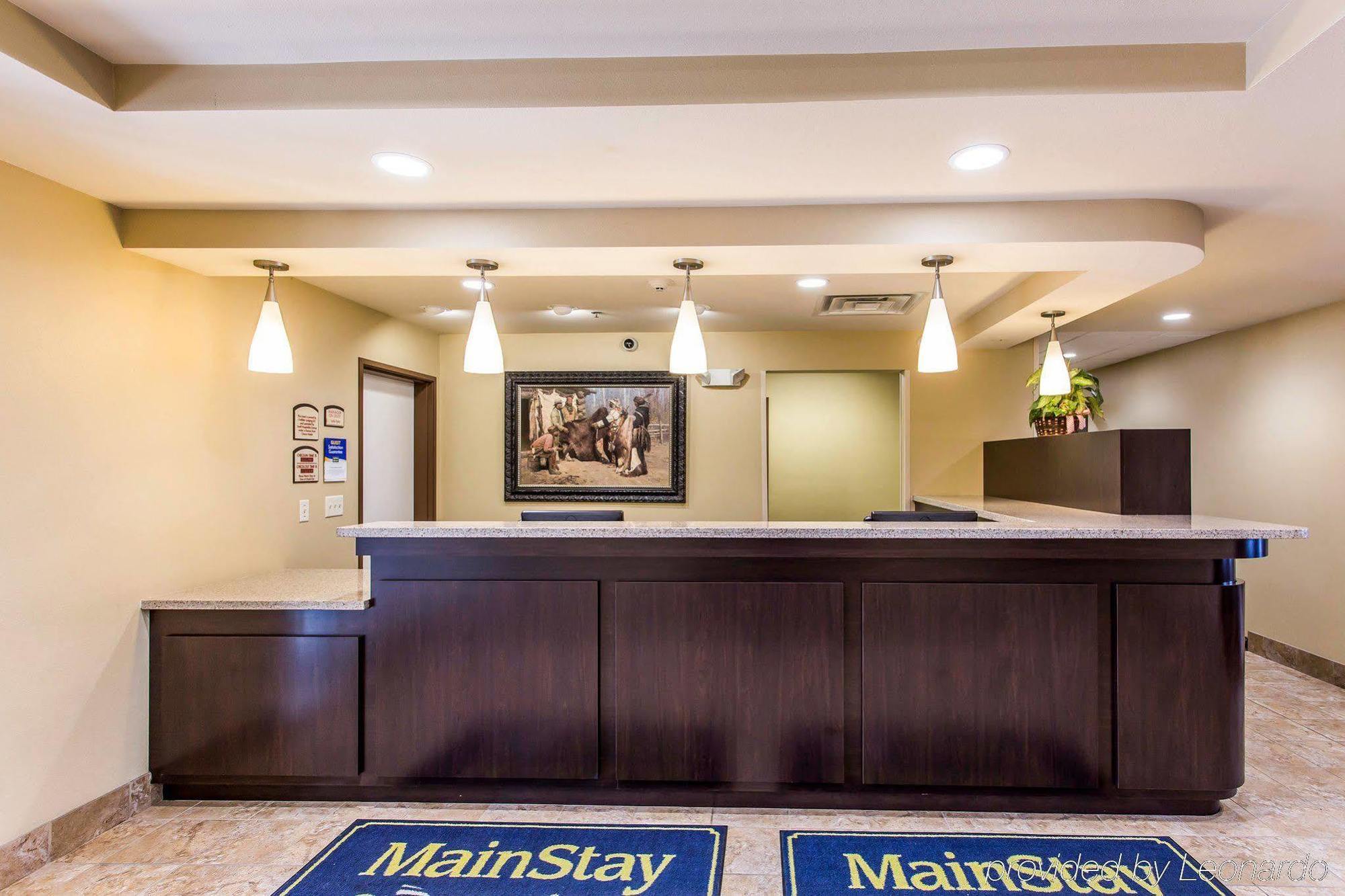 Mainstay Rapid 2*