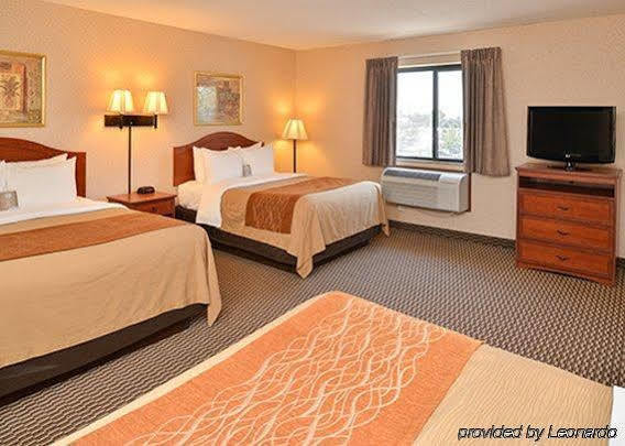 Comfort I-90 Hotel 3*
