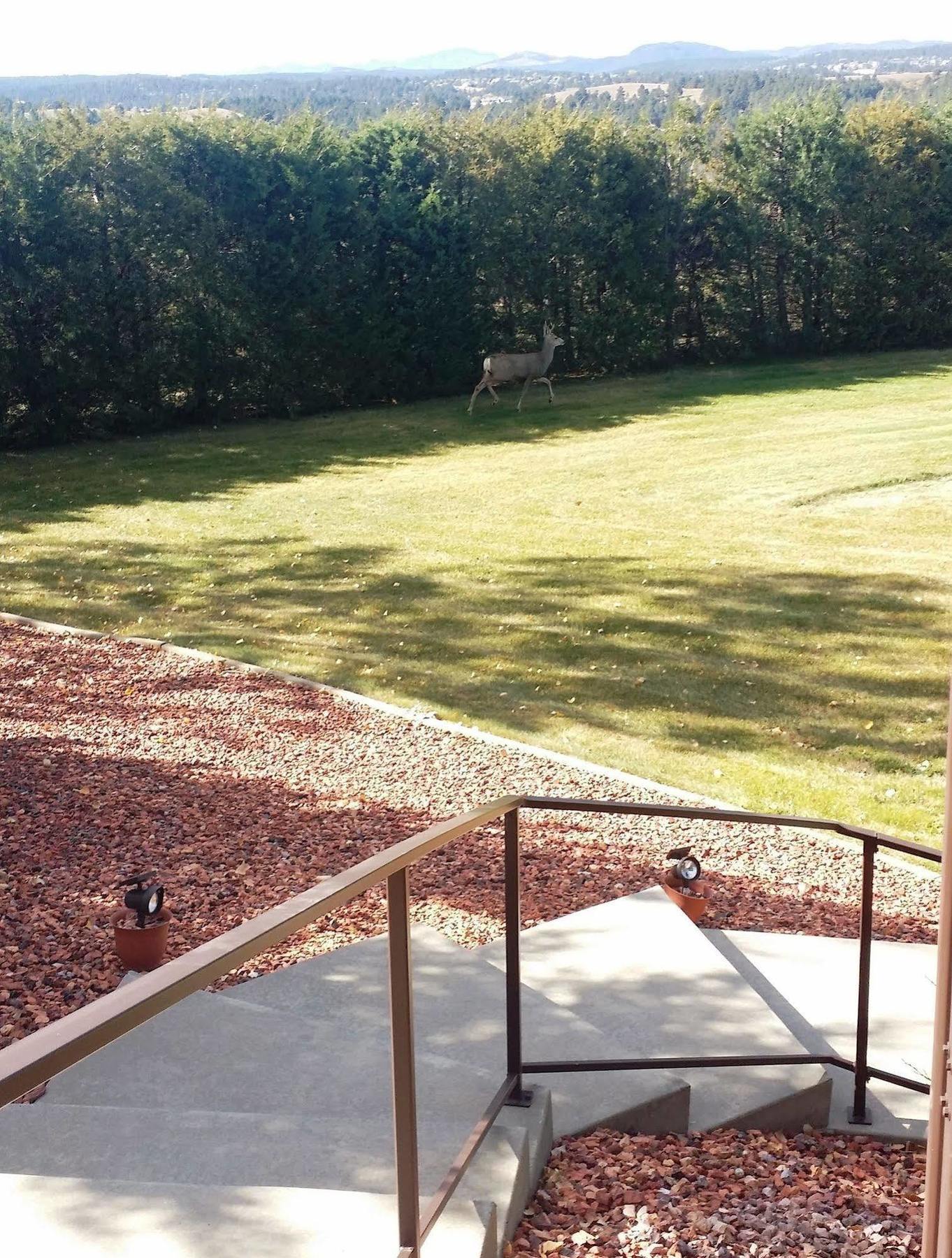 Emerald Hills Hotel 3*