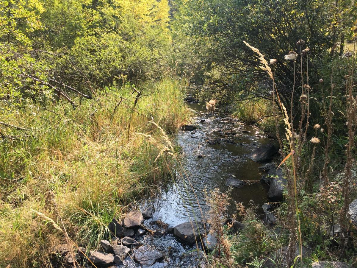 Priceless Black Hills View * Rapid City