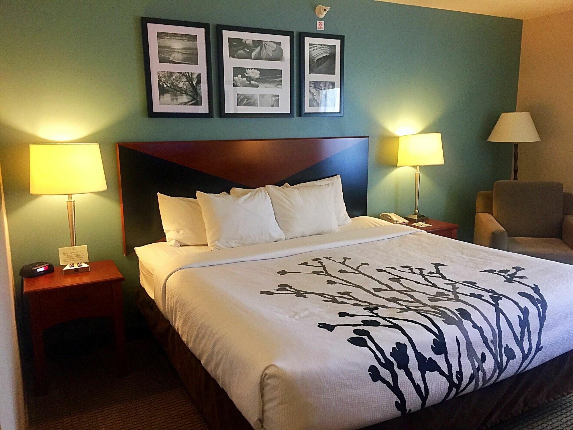 Sleep & Hotel