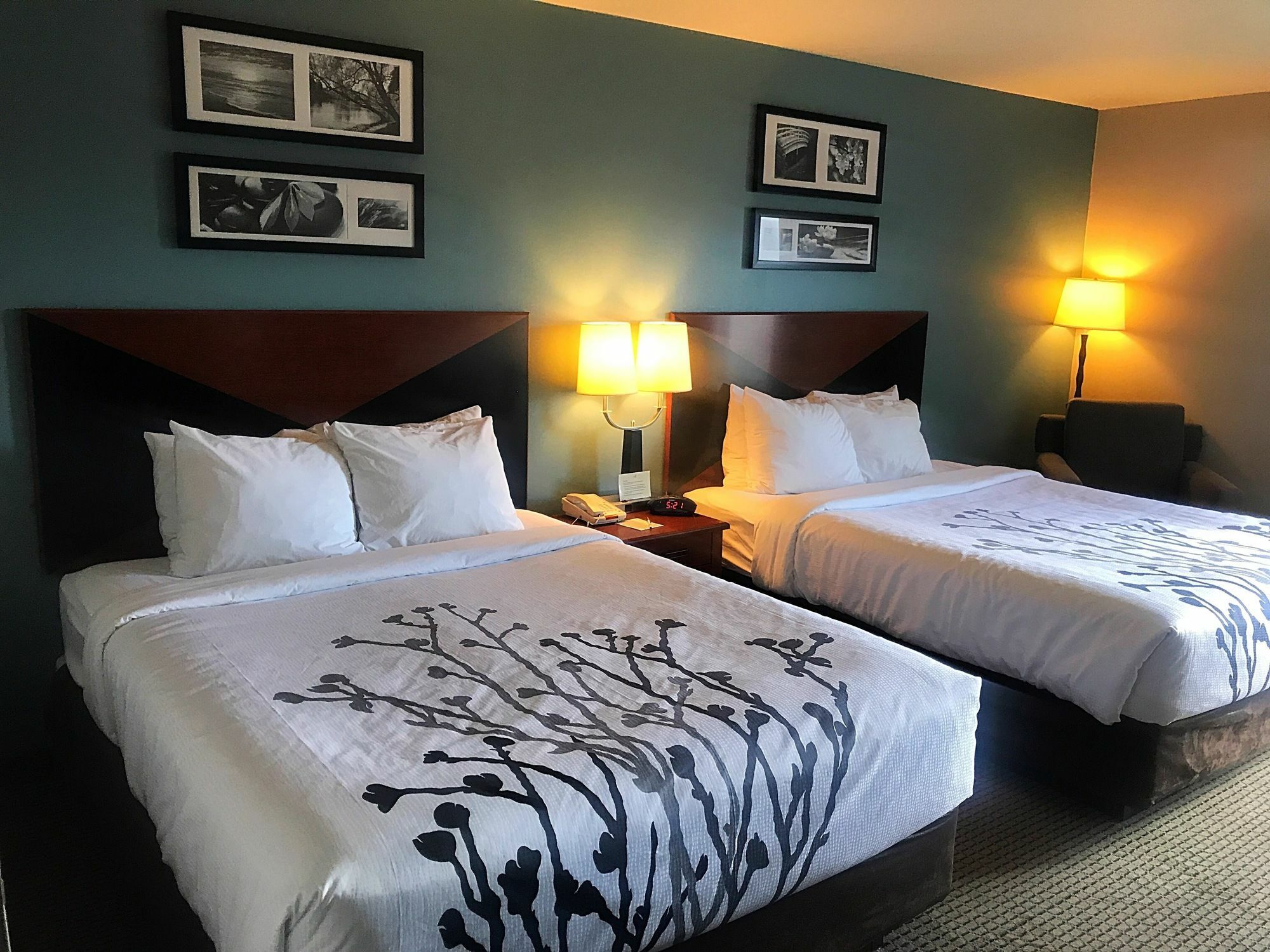 Sleep & Hotel Rapid City