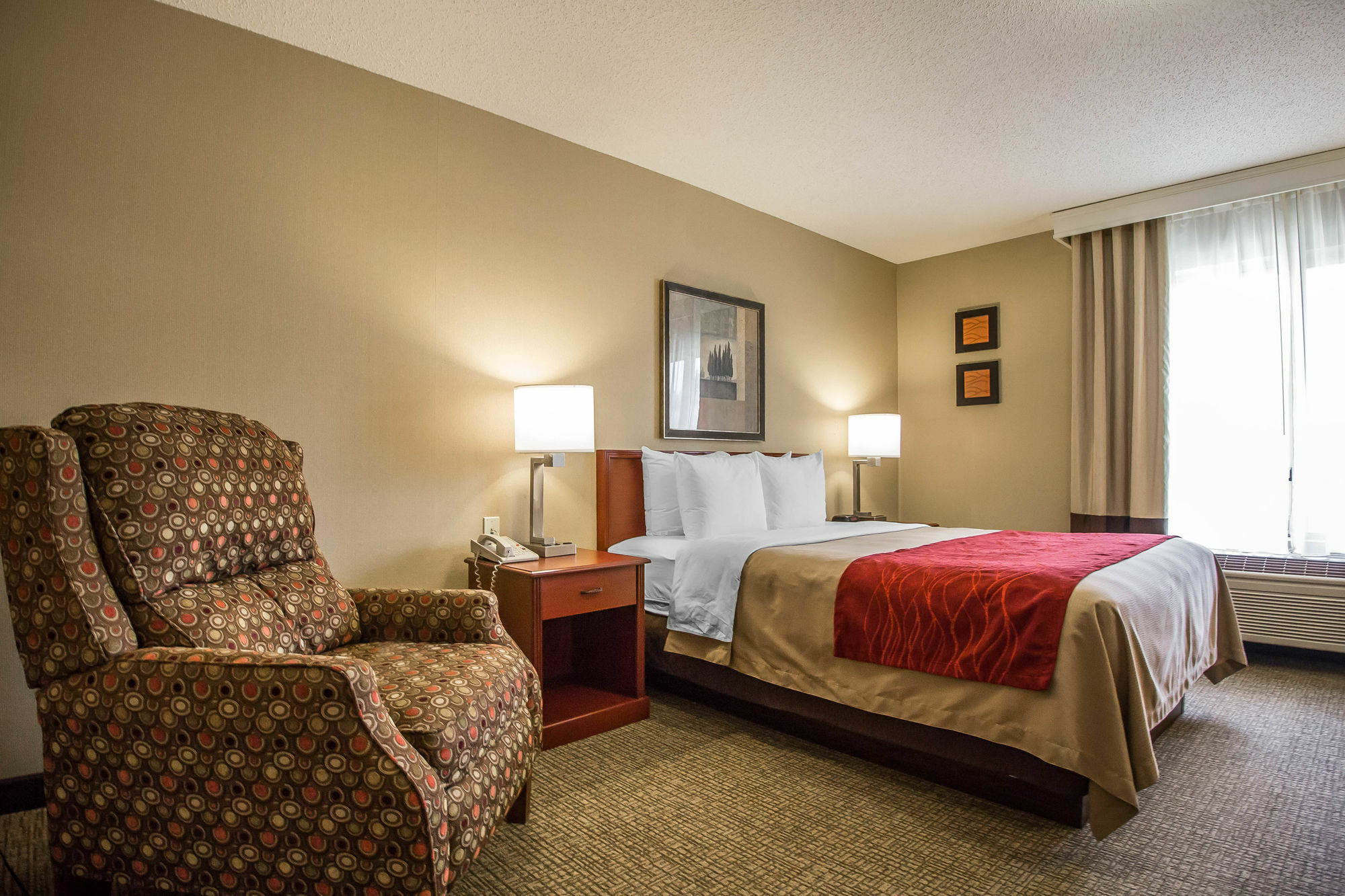 Comfort & Hotel