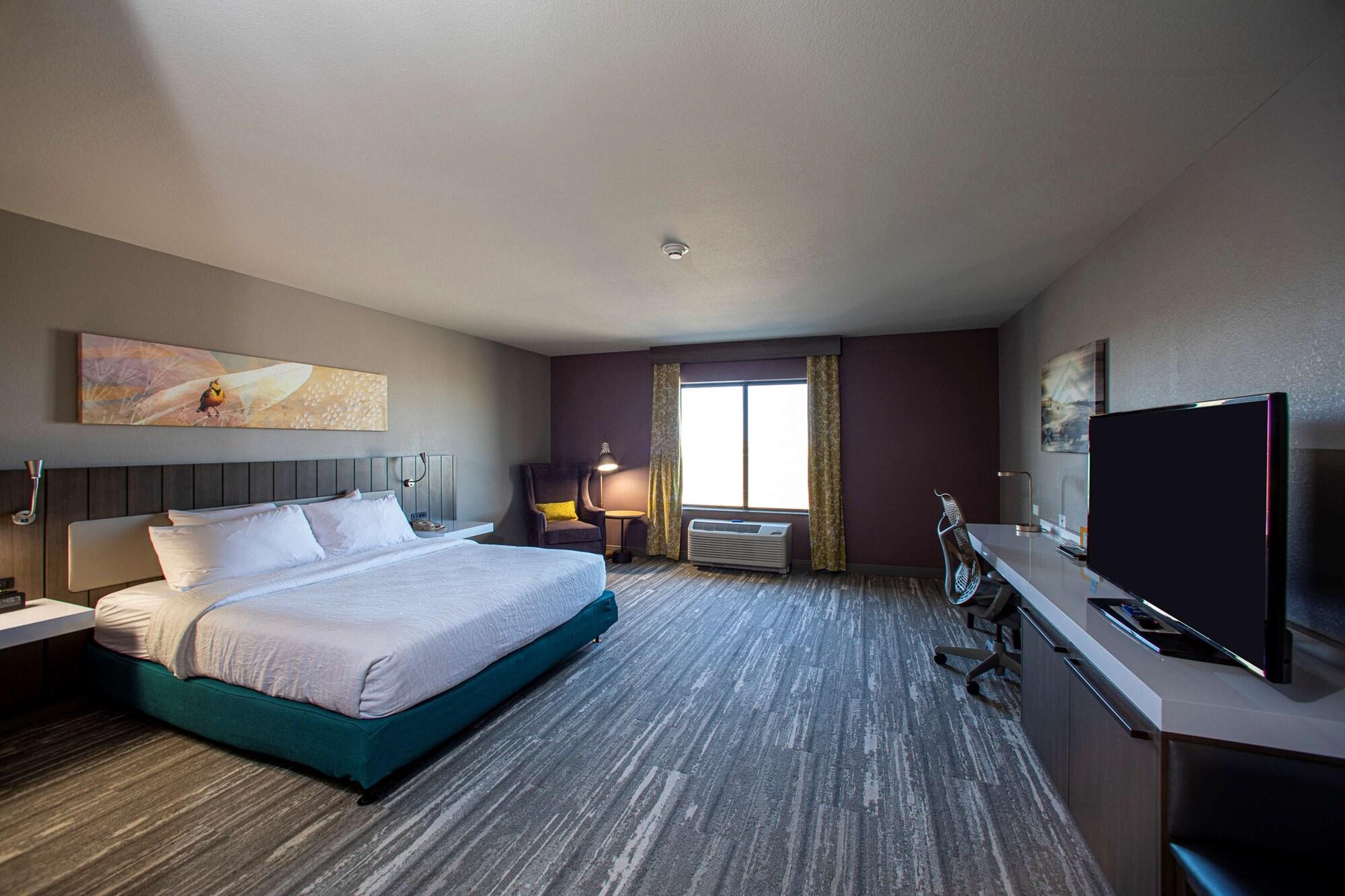 Hilton Garden Rapid