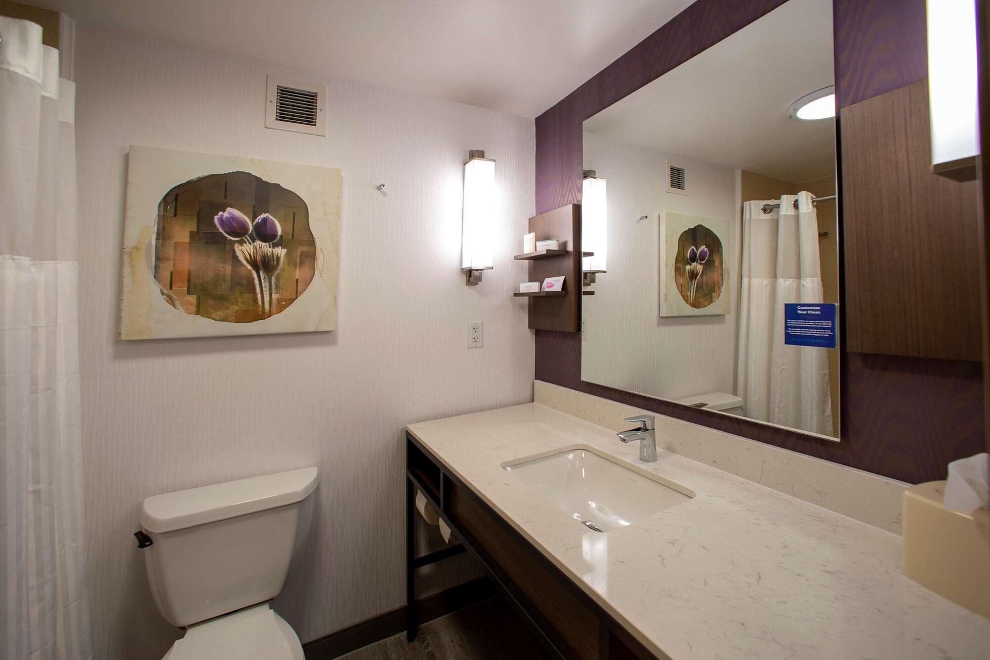Hotel Hilton Garden Rapid 3*