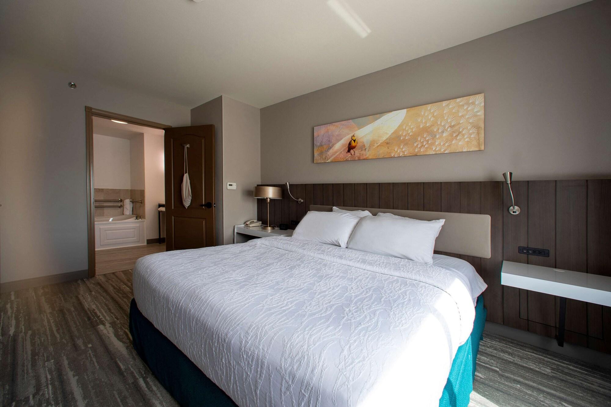 Hilton Garden Rapid Hotel Rapid City